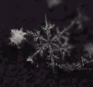180206雪の結晶