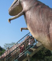 2006年5月3日（1）