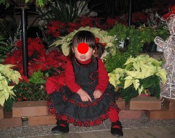 2005120601