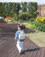 ワイルドフラワーガーデン（3）