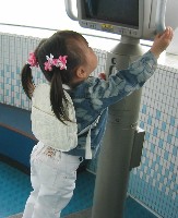 ワイルドフラワーガーデン（6）