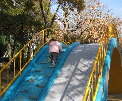 2005120802