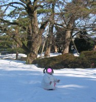 兼六園～雪にハマッた～