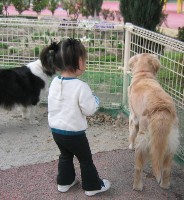 ふれあい動物王国（2）