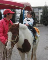 ふれあい動物王国（3）