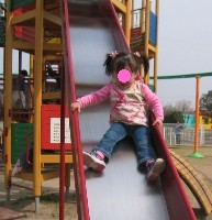 おもちゃの王国（6）