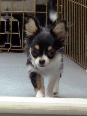 ベランダで・・