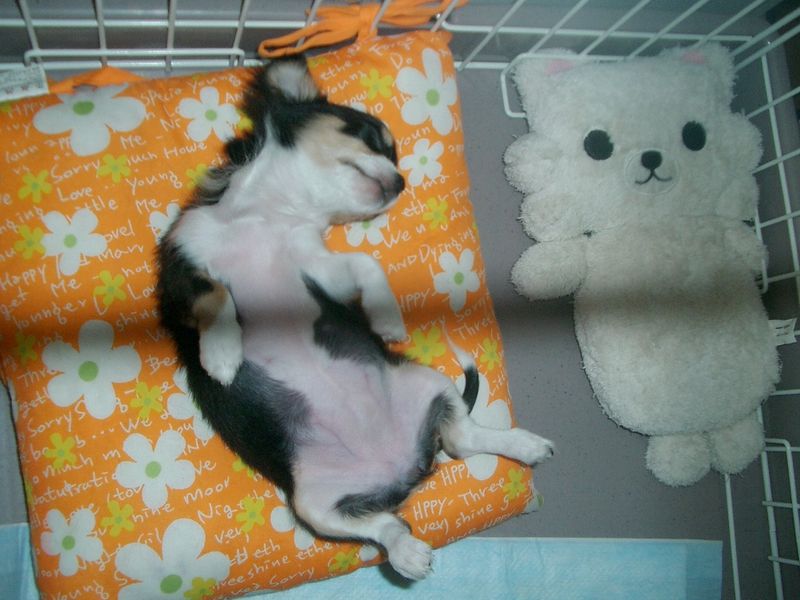 女の子なのにっ・・(*ノノ)