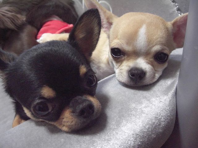 仲良しスムっ子♪