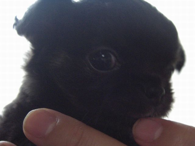 あろまベビー0930-2