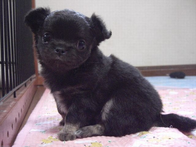 あろまベビー0930-4