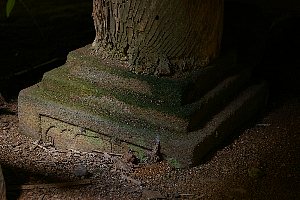 竹林寺本堂の礎石