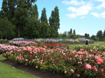 Queen Garden