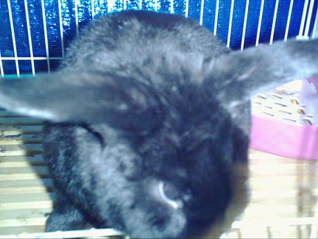 翔ちゃんｒｏｏｍ