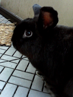 今日の翔ちゃん