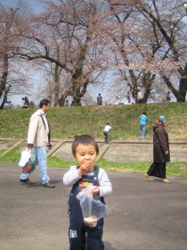 桜のまえでどんを食べる