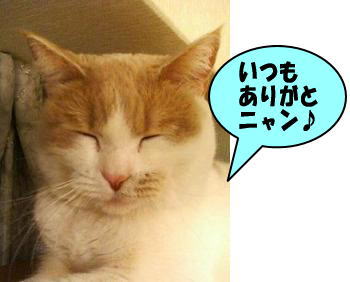 ありがとニャン