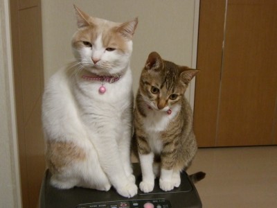 仲良くﾌｧﾝﾋｰﾀｰ？