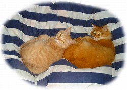 ガリレオ君&アトムちゃん2