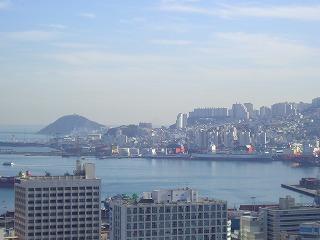 高台から臨む釜山港