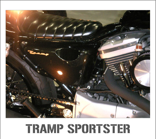 TRAMP SPORTSTER 2.jpg
