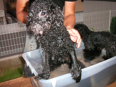 PICT0042 のコピー.jpg