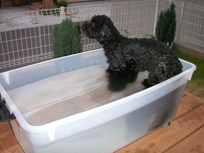 PICT0040 のコピー.jpg