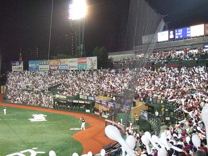 03.jpg