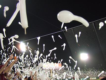 05.jpg