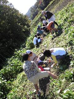 081013_1020~0002.jpg