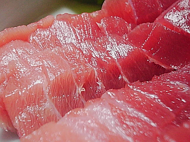 ミナミマグロ中トロ