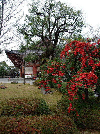 東寺金堂