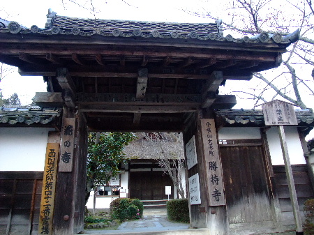 勝持寺5