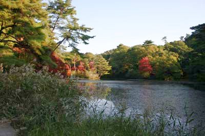 六甲山 森林植物園 長谷池