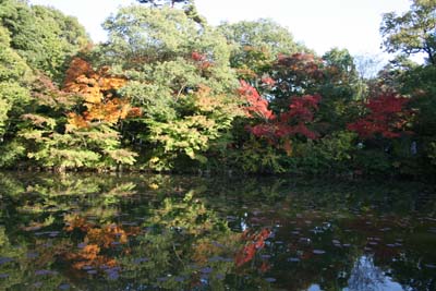 六甲山 森林植物園 長谷池