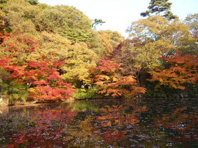 六甲山 森林植物園 長谷池　（2008年）