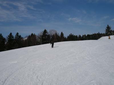 パウダースノー