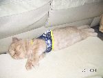 PICT0078-2.jpg