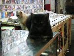 PICT0025-9.jpg