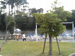 イングランド２