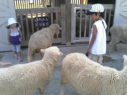 イングランド５