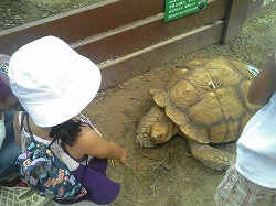 イングランド６