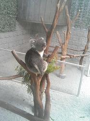 イングランド７