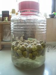 梅シロップ10日後