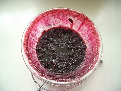 ブルーベリーソース