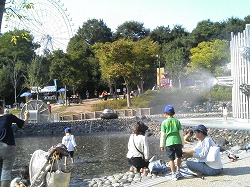 じゃぶじゃぶ池