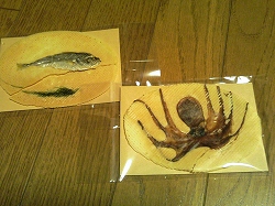 おととせんべい