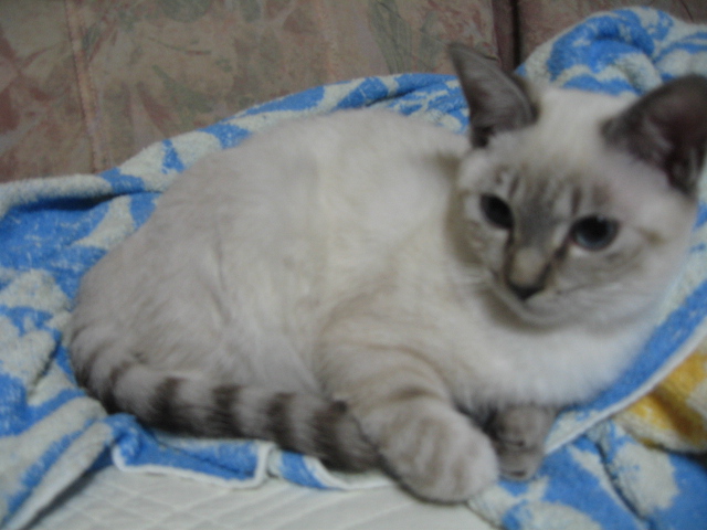 まぁねぇ･･･