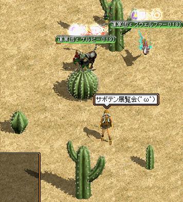 サボテン展覧会