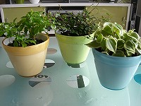 080414.jpg